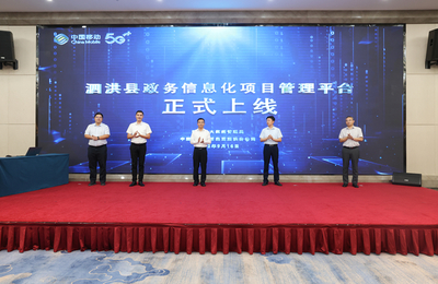 数字浪潮下的治理革新——我县举办“数字政府建设路径与实践探索”专题讲座